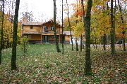 trees.jpg