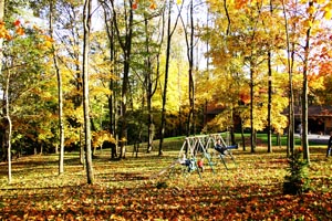 Kids on Swingset