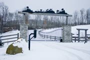 Entry Gate