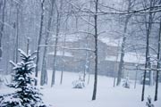 Joels House