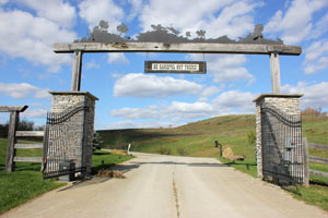 Security Gate - Exit Side